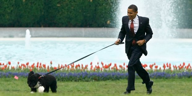 5b730671e199f32e008b5105-1920-960